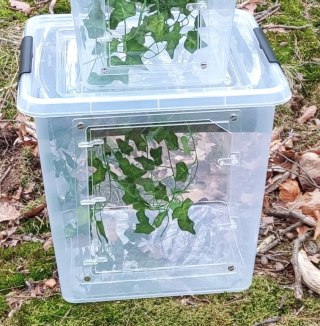 Box hodowlany terrarystyczny, gekon - DUŻY