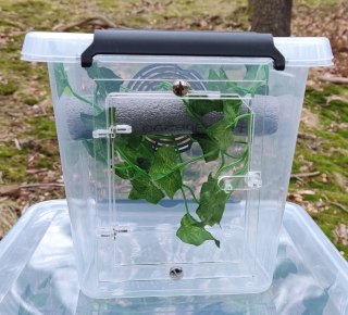 Box hodowlany terrarystyczny, gekon - MAŁY