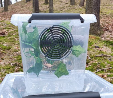 Box hodowlany terrarystyczny, gekon - MAŁY