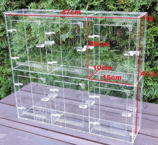 Rack system do hodowli małych zwierząt nadrzewnych