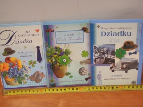 Karnet DZIEŃ DZIADKA A208 Karnet DZIEŃ DZIADKA A208