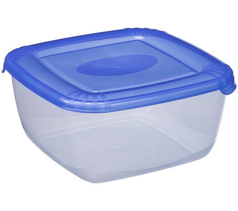 Pojemnik 6szt. polar 2,5l kwadrat | 1677 Pojemnik 6szt. polar 2,5l kwadrat | 1677