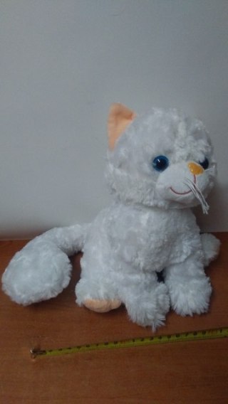 Kot z dźwiękiem K0967