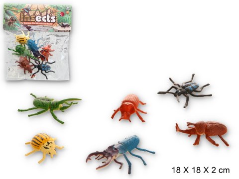 Zwierzęta insekty Zwierzęta insekty