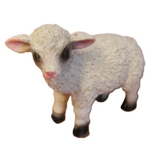 Baranek 4szt. poly | SWB-15094