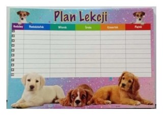 Plan lekcji + tabliczka mnożenia A4 mix 25szt.