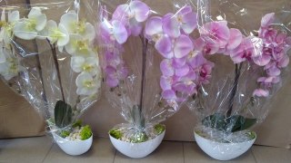 Doniczka pusta 10szt MINIDONICZKA fi-14