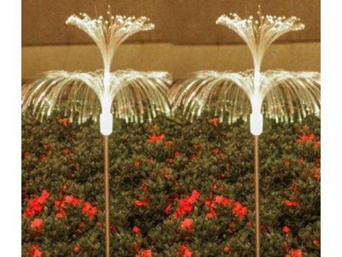 Lampa solarna 2szt. WARM WHITE / 100 MEDUZA FM209