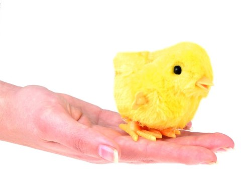 Nakręcany 12szt kurczaczek żółta kurka nakręcana tupta ZA4993