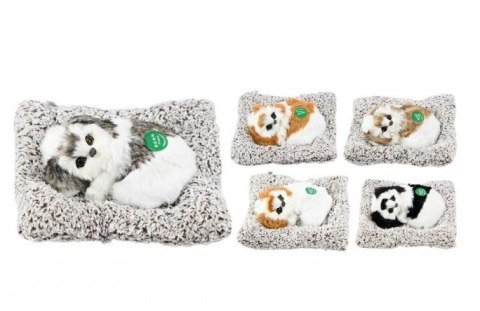 Pies na poduszce 18cm figurka dekoracyjna