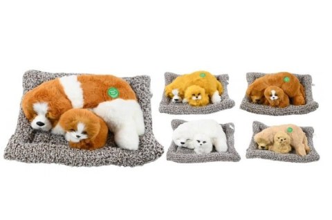 Pies na poduszce 27cm figurka dekoracyjna