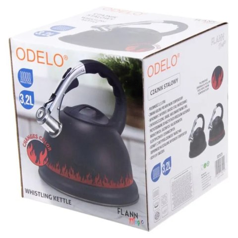 Czajnik stalowy 3,2l FLANN MAGIC zmieniający kolor grube dno OD2629