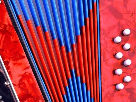 Duży muzyczny AKORDEON dla dzieci Harmonia IN0148 CZ