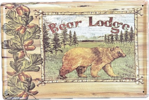 Obraz blaszany 20x30cm 25-628B