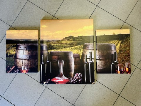 Obraz na płótnie "Canvas" 128x60